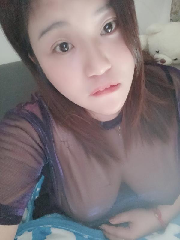 北城小浪浪 第1张