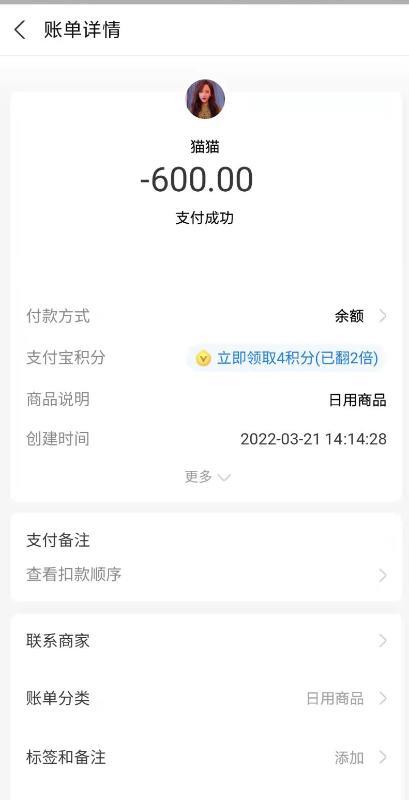 广州新疆混血猫猫 第4张