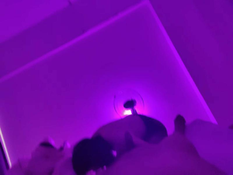 南宁露露姐 第1张