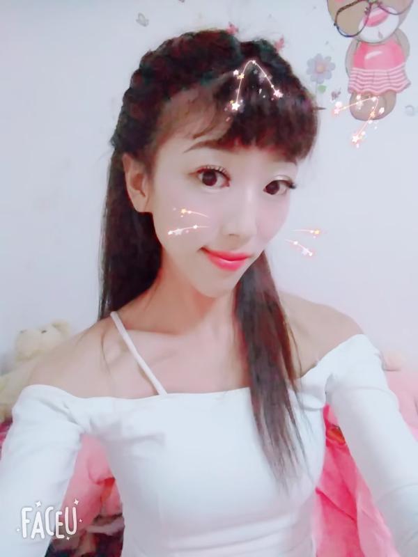 大连加菲猫 第1张