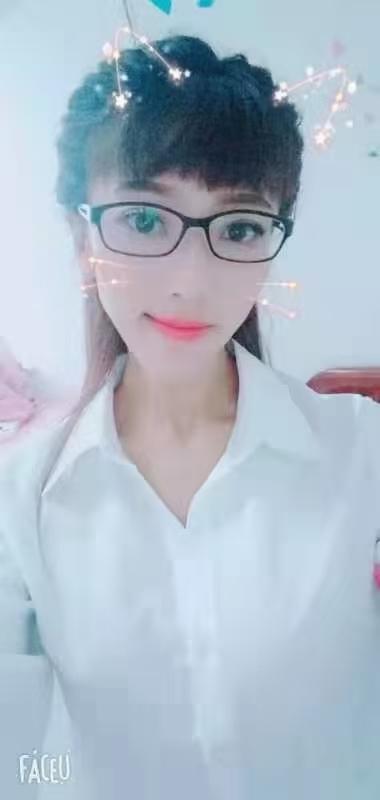 大连加菲猫 第2张