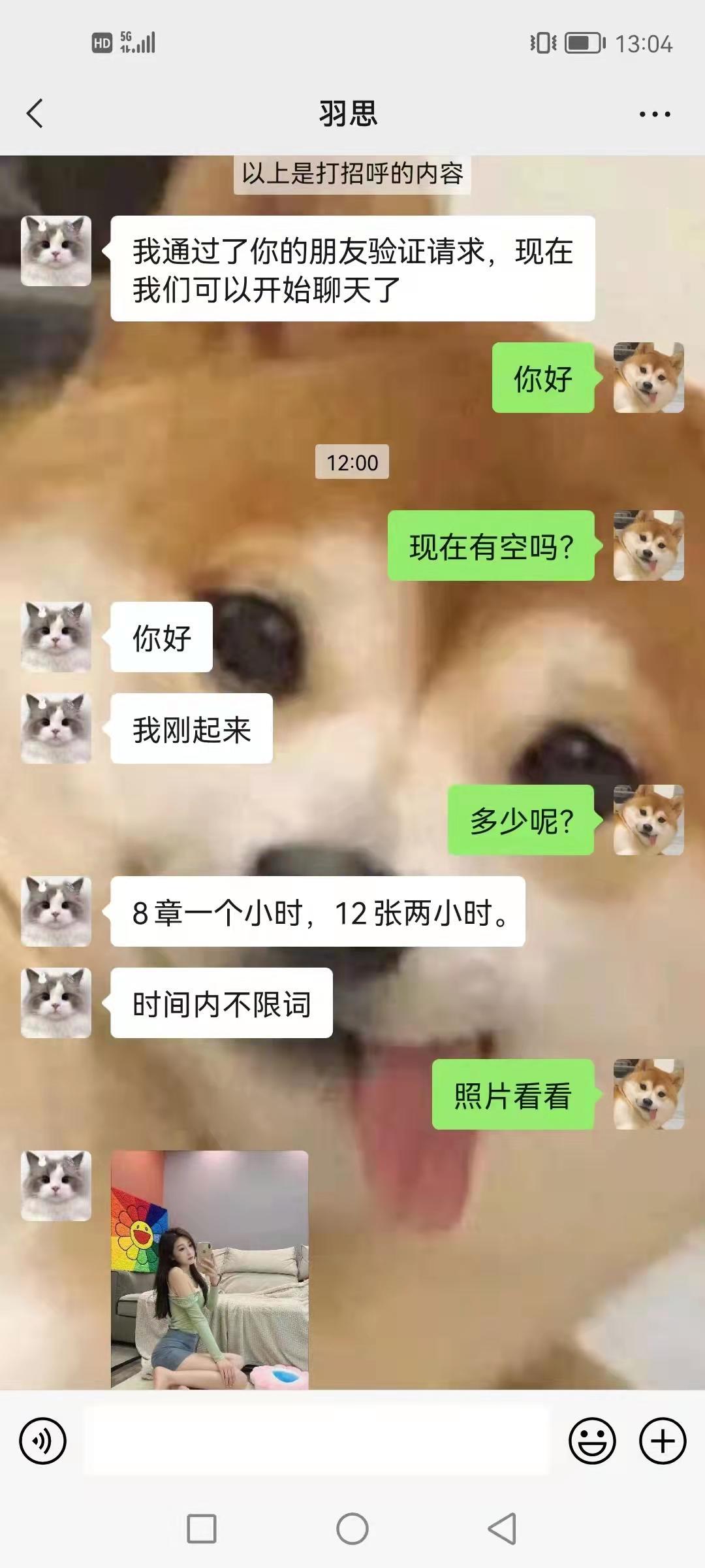 白丝袜的御姐 第1张