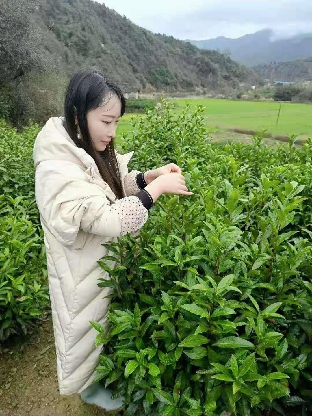 当年的茶艺小姐姐 第2张