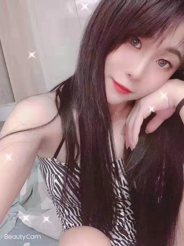验证未央区小可爱猫猫 第3张