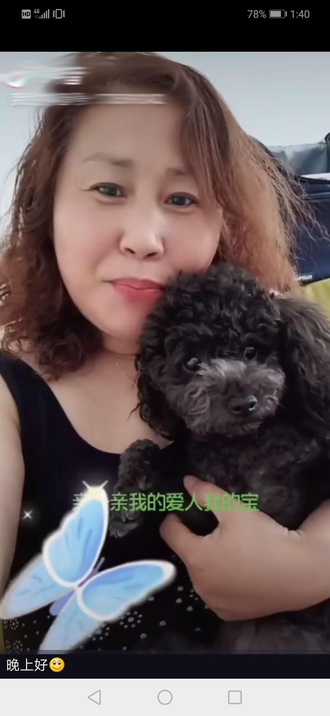 沈阳铁西英姐 第1张