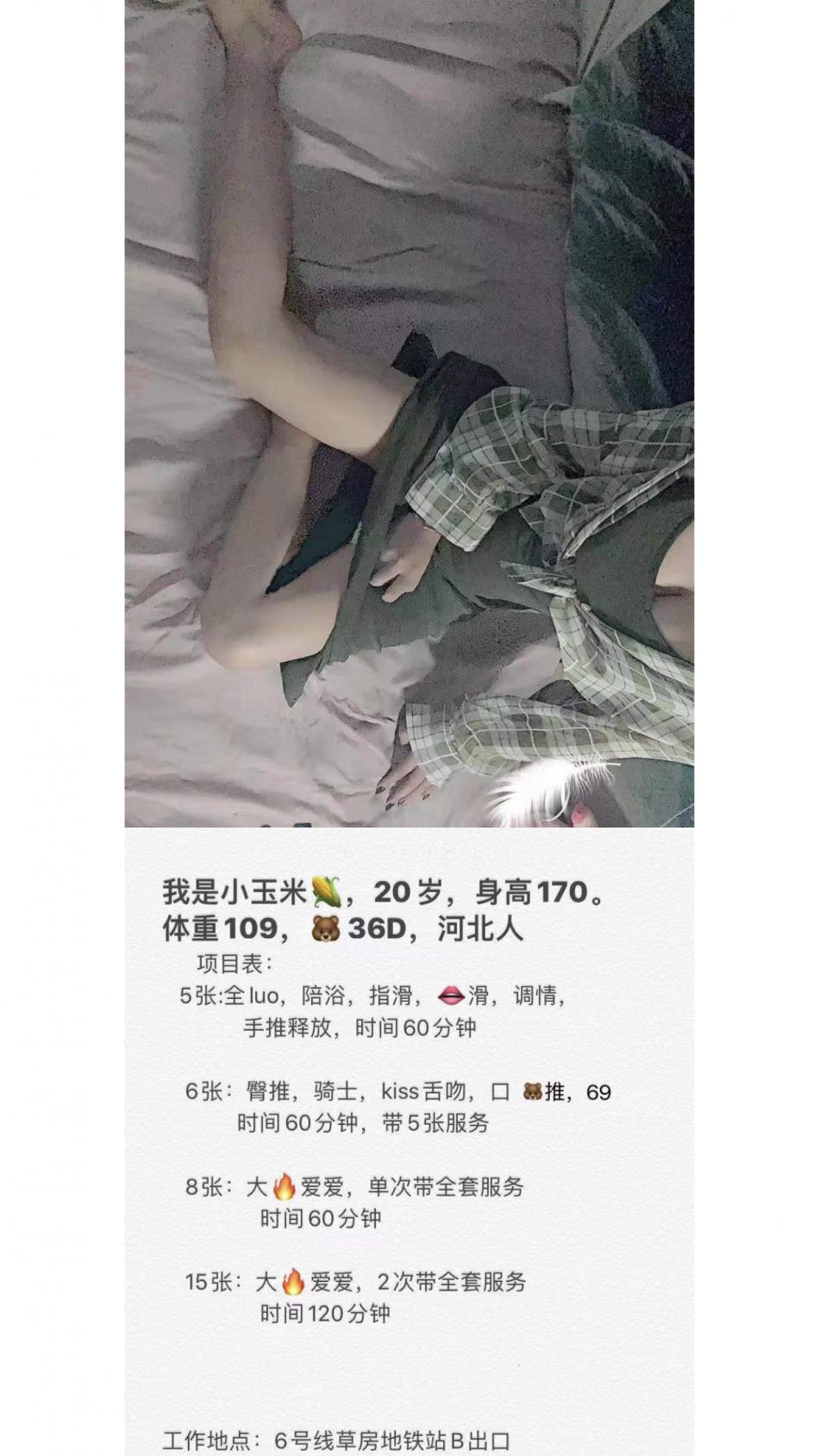 草房像素玉米 第2张